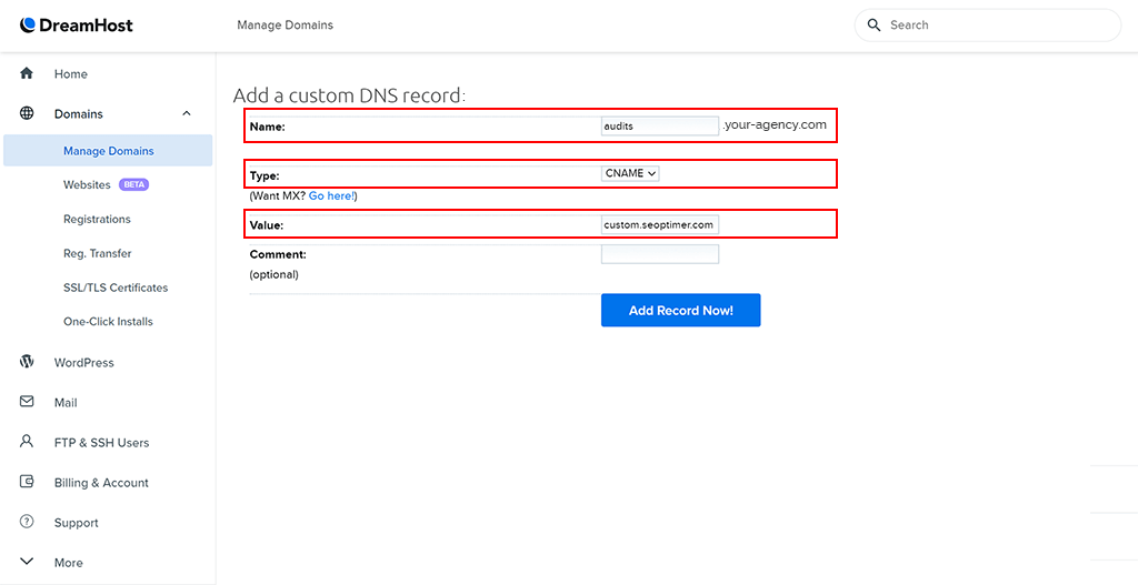 DNS Settings